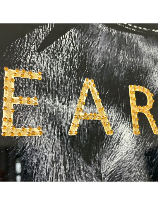 Image encadrée avec gel – 48.170