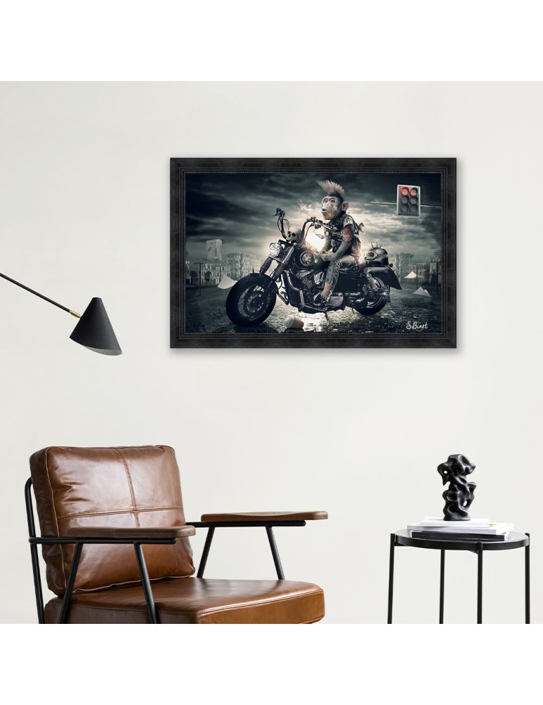 Singe motard – Sylvain Binet