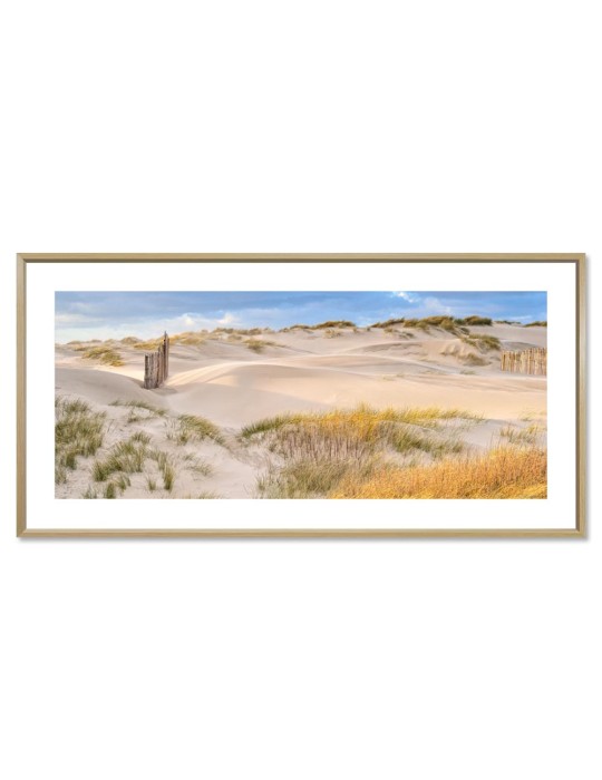 À travers la dune - Collection GF Cohen