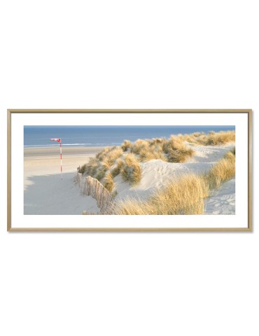 Vent de terre - Collection GF Cohen