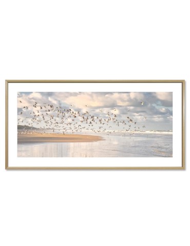 Oiseaux - Collection GF Cohen