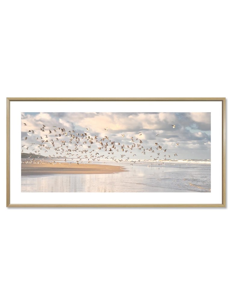 Oiseaux - Collection GF Cohen