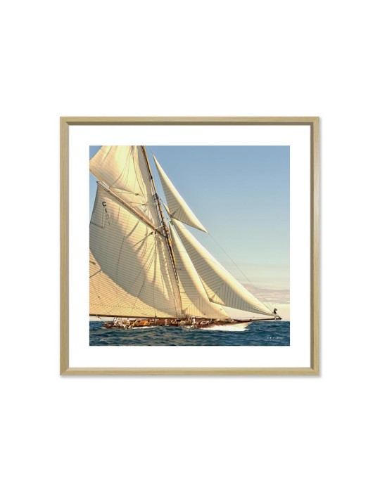 A toutes voiles - Collection GF Cohen