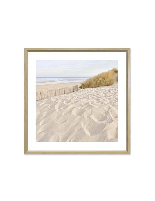 Dune - Collection GF Cohen