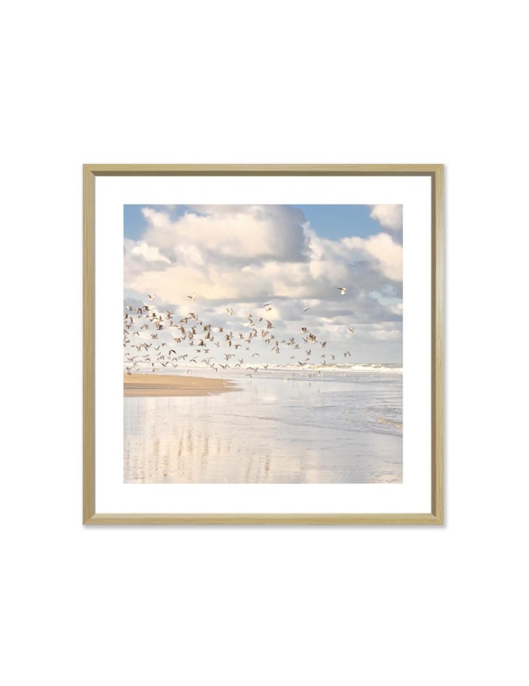 Oiseaux - Collection GF Cohen