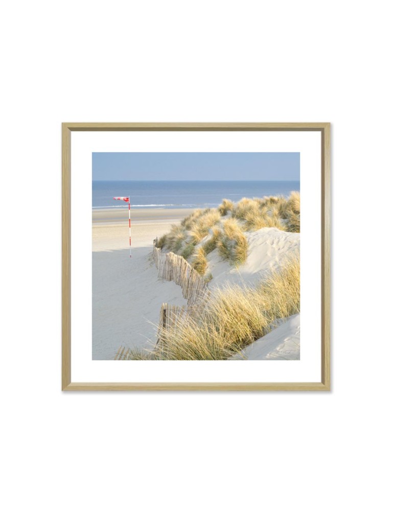 Vent de terre - Collection GF Cohen