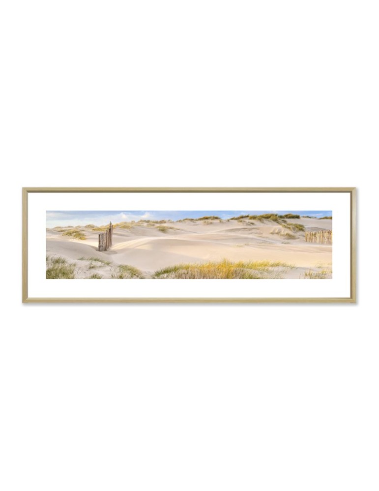 À travers la dune - Collection GF Cohen