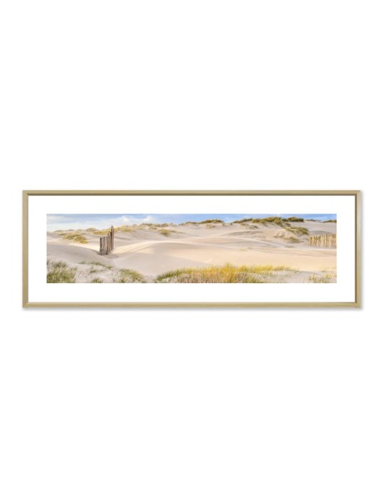 À travers la dune - Collection GF Cohen