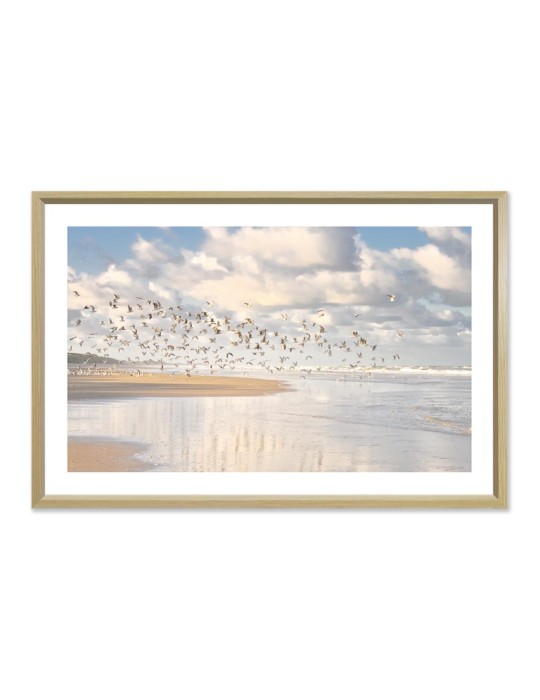 Oiseaux - Collection GF Cohen