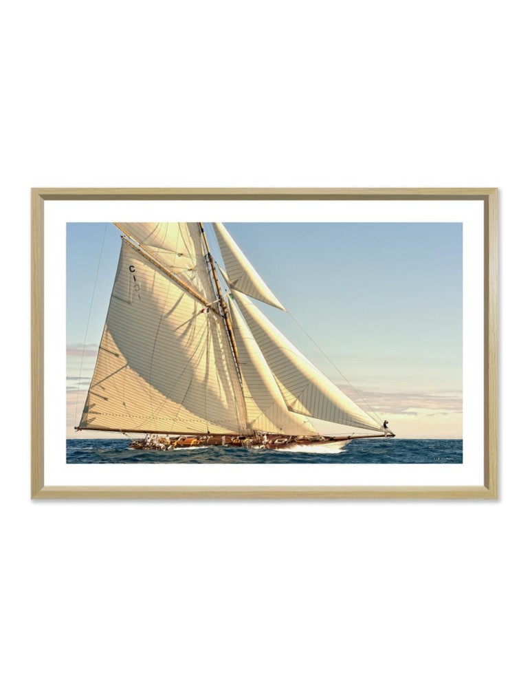 A toutes voiles - Collection GF Cohen