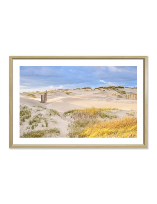 À travers la dune - Collection GF Cohen