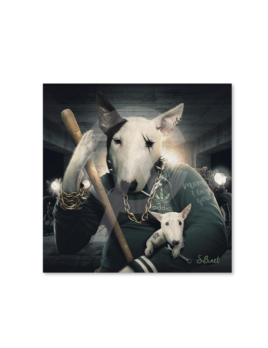 Bull Terrier