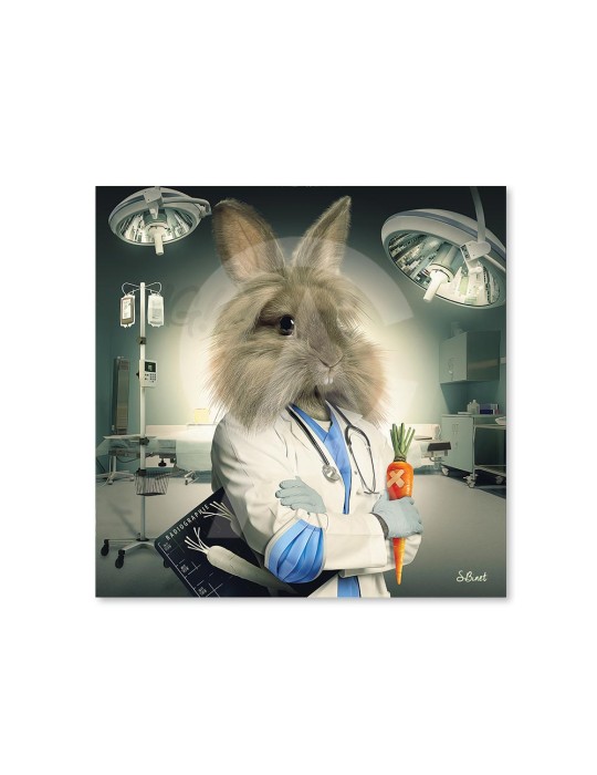 Lapin Infirmier