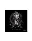 Lion is not dead