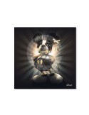 Mickey Chien