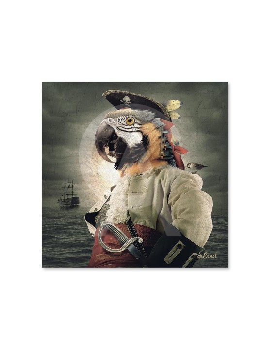 Pirate Perroquet