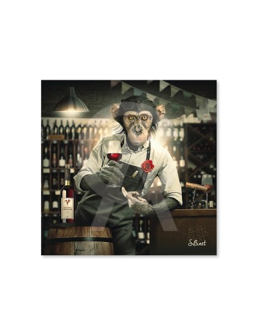 Singe caviste