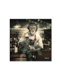 Singe caviste