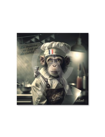 Singe Cuisto