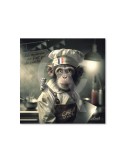 Singe Cuisto