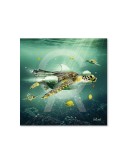 Tortue