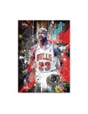 Bulls Team