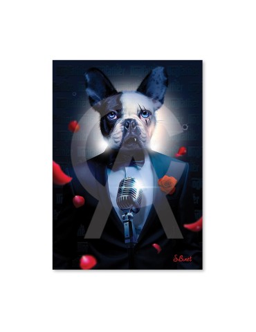 Dog Father