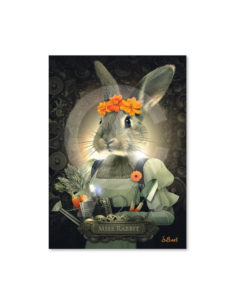 Miss Rabbit