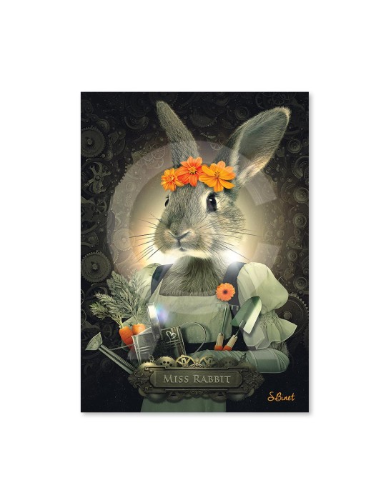 Miss Rabbit