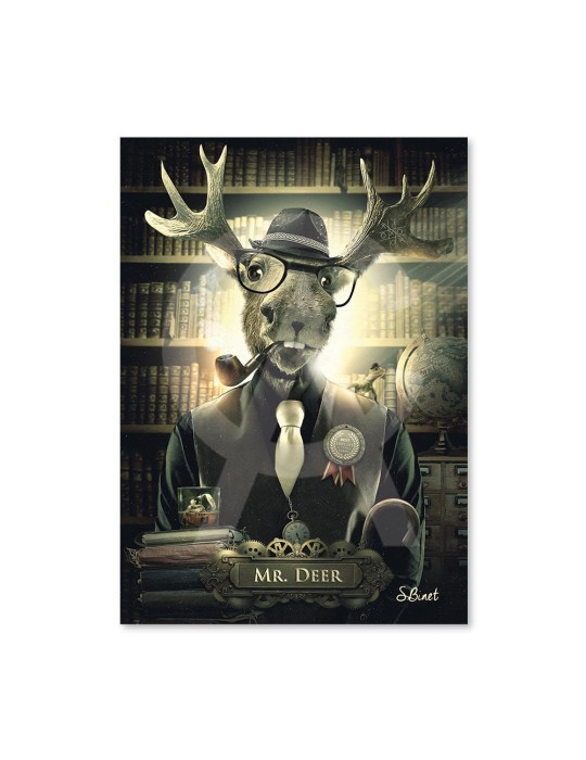 Mr Deer