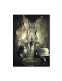 Mr Rabbit