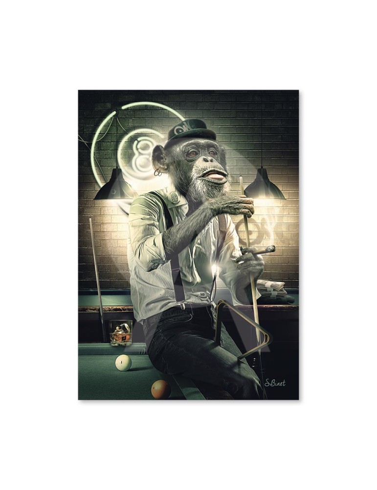 Singe Billard