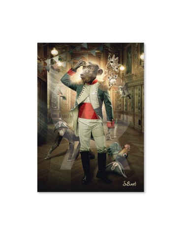 Singe Empereur