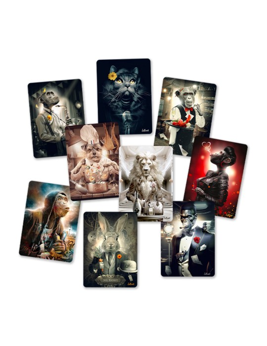 Réassort Binet 20x28cm