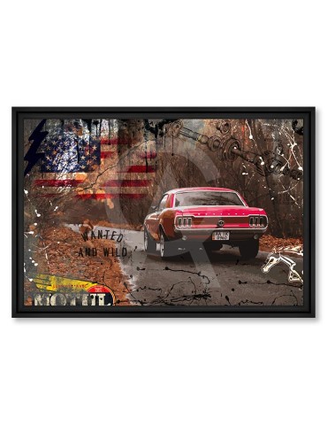 Mustang Fastback Red - Collection Rubix