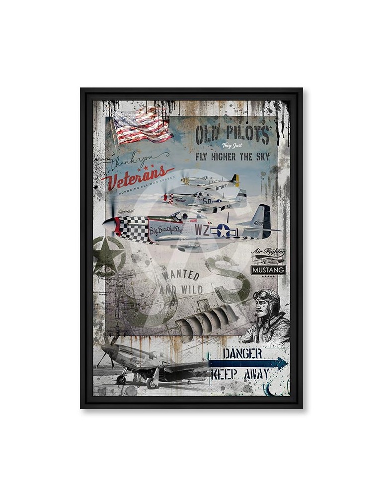 Old pilots - Collection Rubix