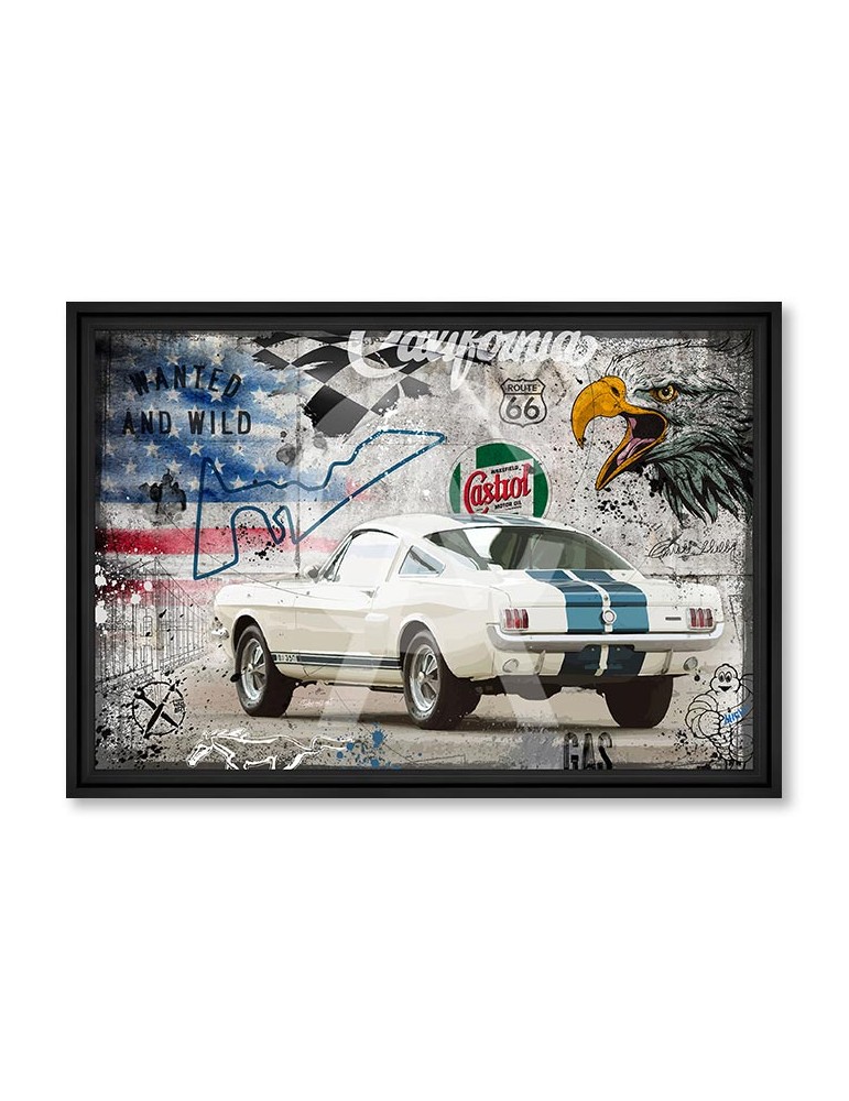 Shelby 65 – Collection Rubix