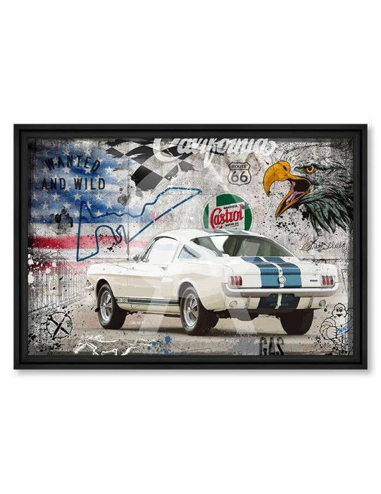 Shelby 65 – Collection Rubix