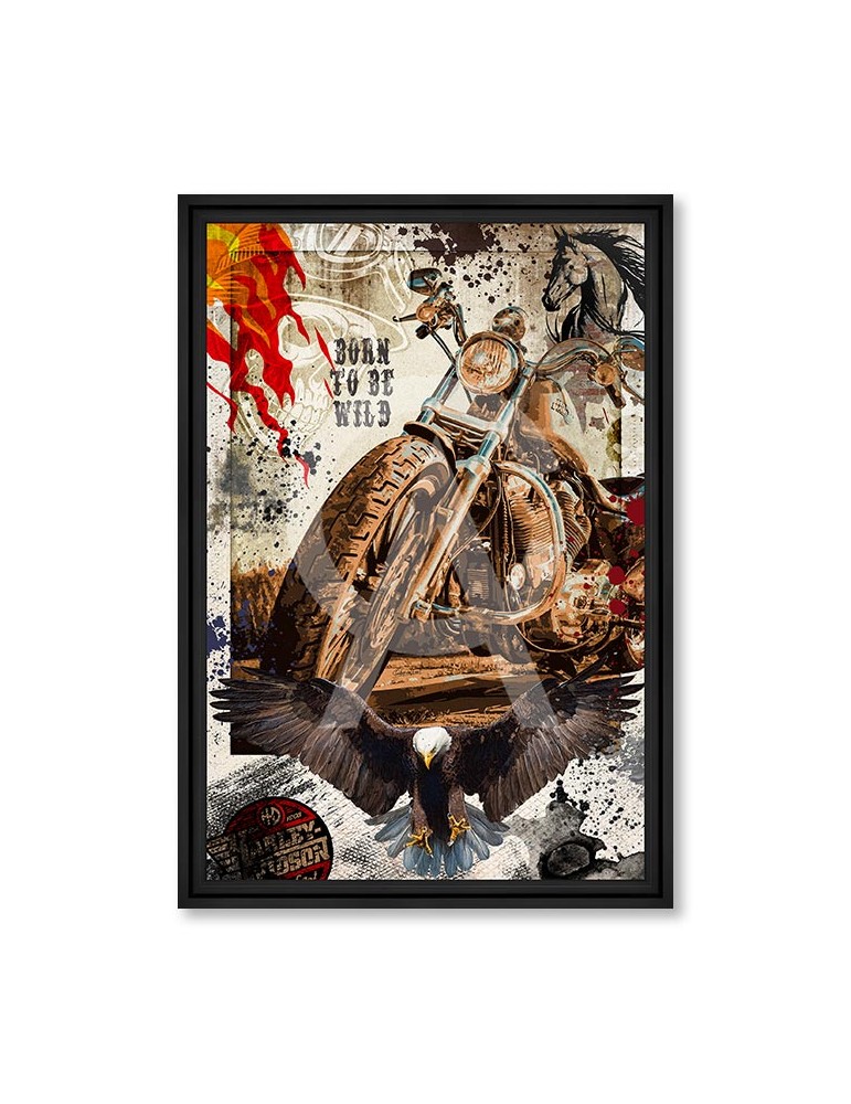 Born to be wild - Collection Rubix