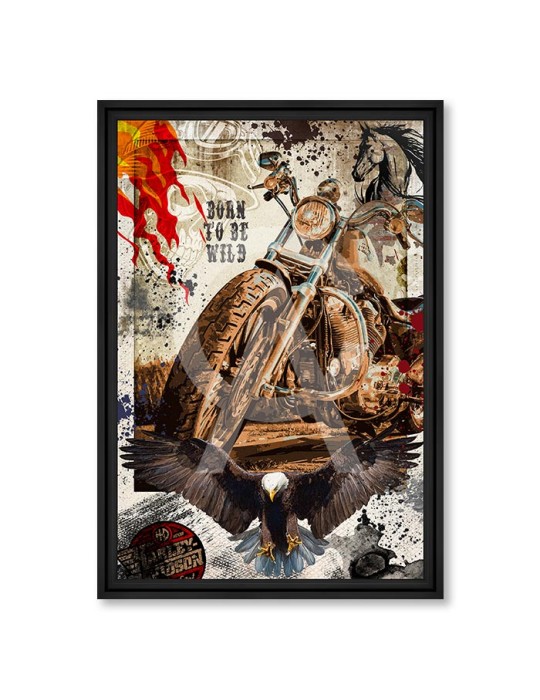 Born to be wild - Collection Rubix