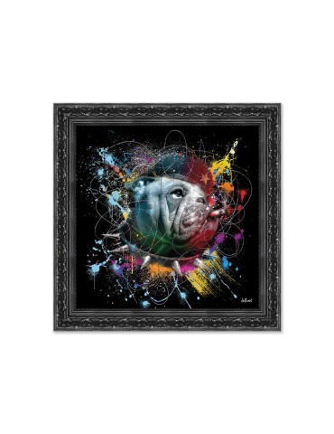 Image encadrée – Sylvain Binet - Che Gevadog Color