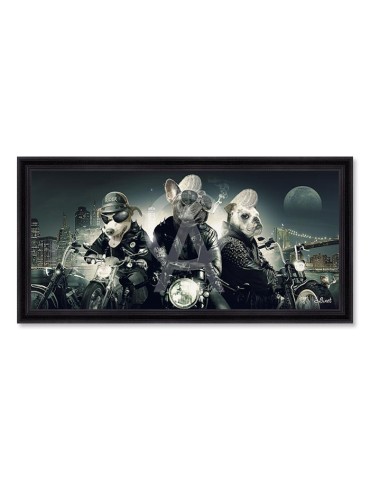 Chiens Motards – Sylvain Binet