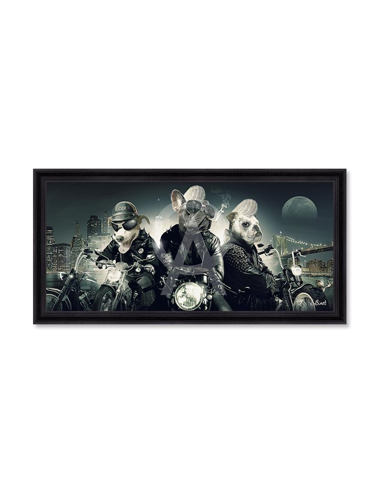 Chiens Motards – Sylvain Binet