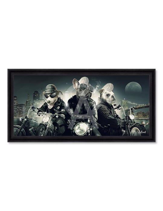 Chiens Motards – Sylvain Binet