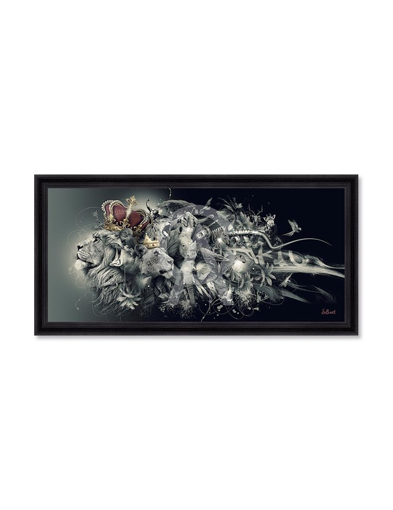 Pano Afrique – Sylvain Binet