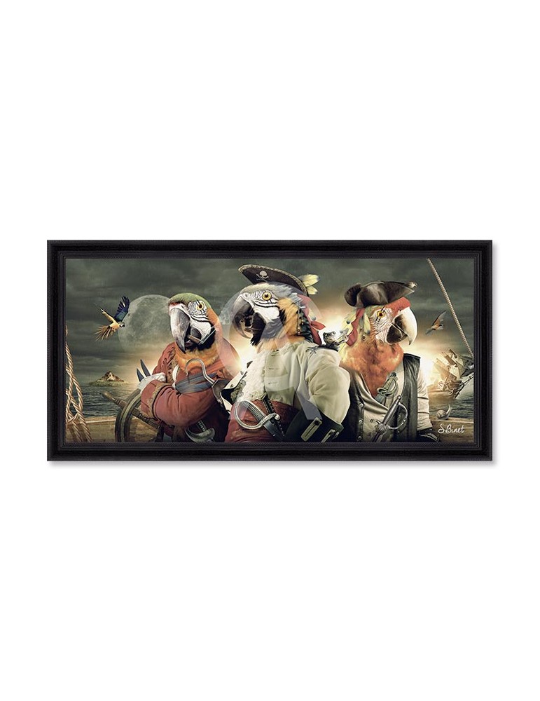 Pano Perroquets – Sylvain Binet