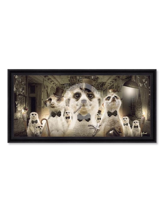 Suricates – Sylvain Binet