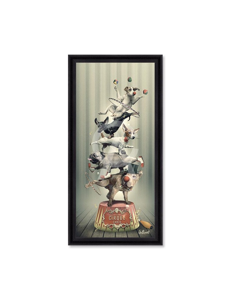 Cirque Canin – Sylvain Binet