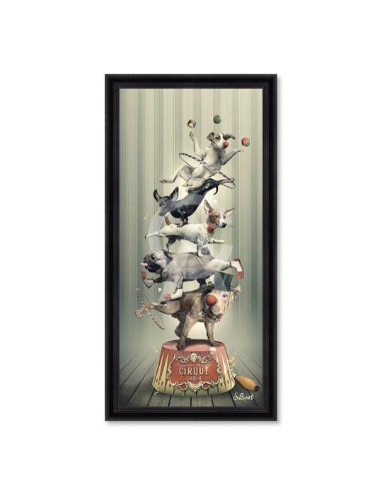 Cirque Canin – Sylvain Binet
