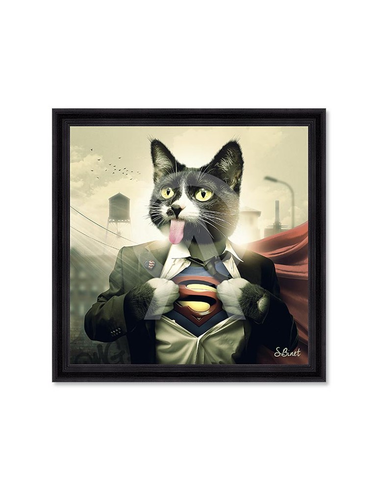 Supercat – Sylvain Binet Supercat – Sylvain Binet